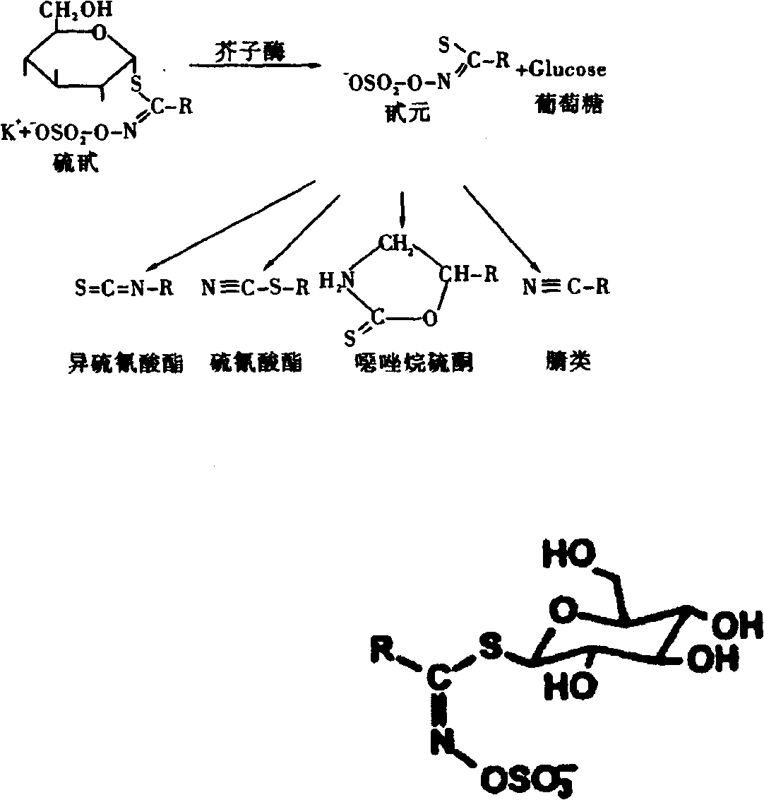 Method for removing cotton rapeseed meal toxicant by fermentation method and enhancing nutrient value thereof, feeding fermented cotton rapeseed meal protein feedstock and applications thereof
