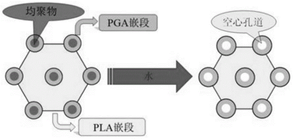 Degradable porous poly lactic acid preparation method