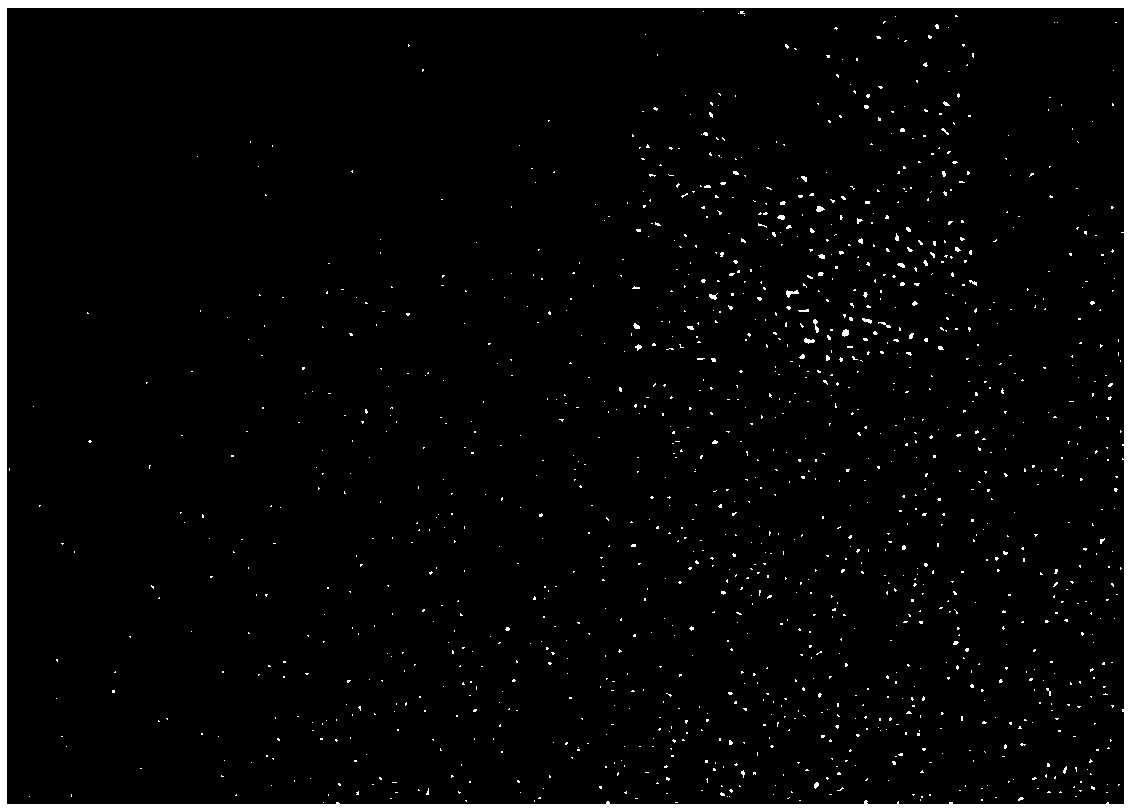 Phenothiazine derivative fluorescence carbon dots as well as preparation method and application thereof