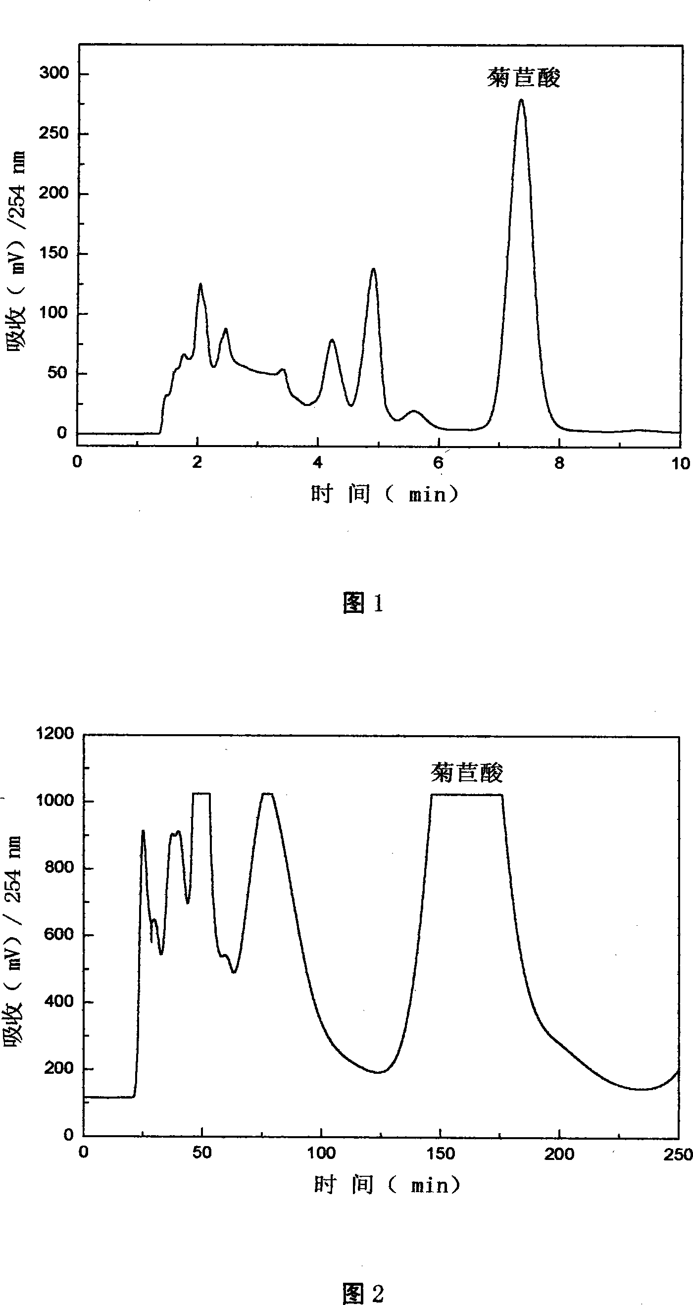 Method for extracting high pure chicoric acid from Coneflower