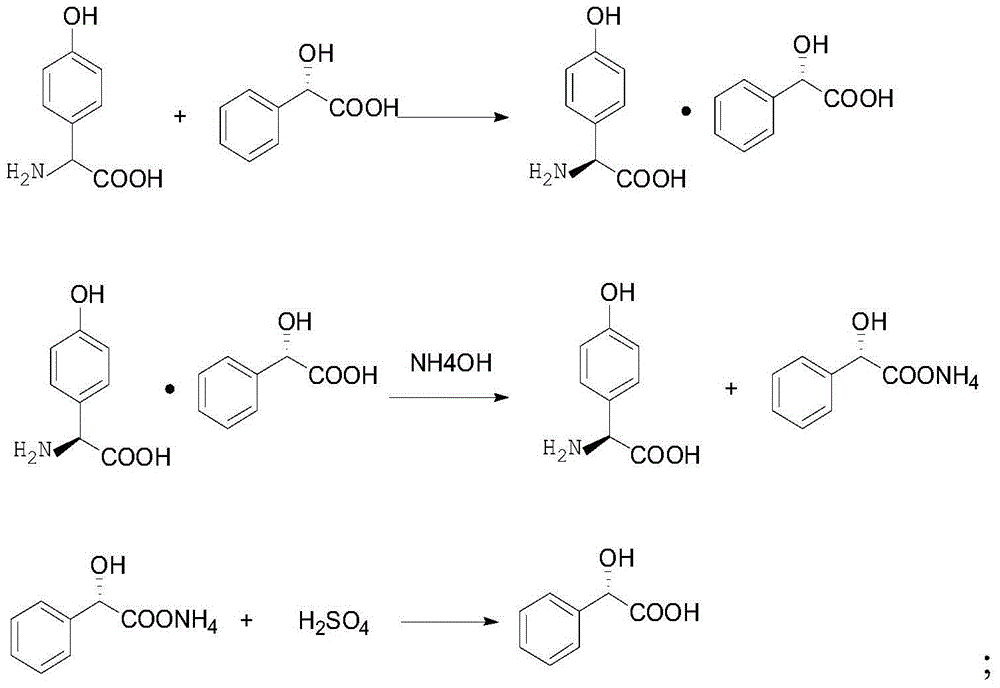 Synthetic method for p-hydroxyphenyl glycine