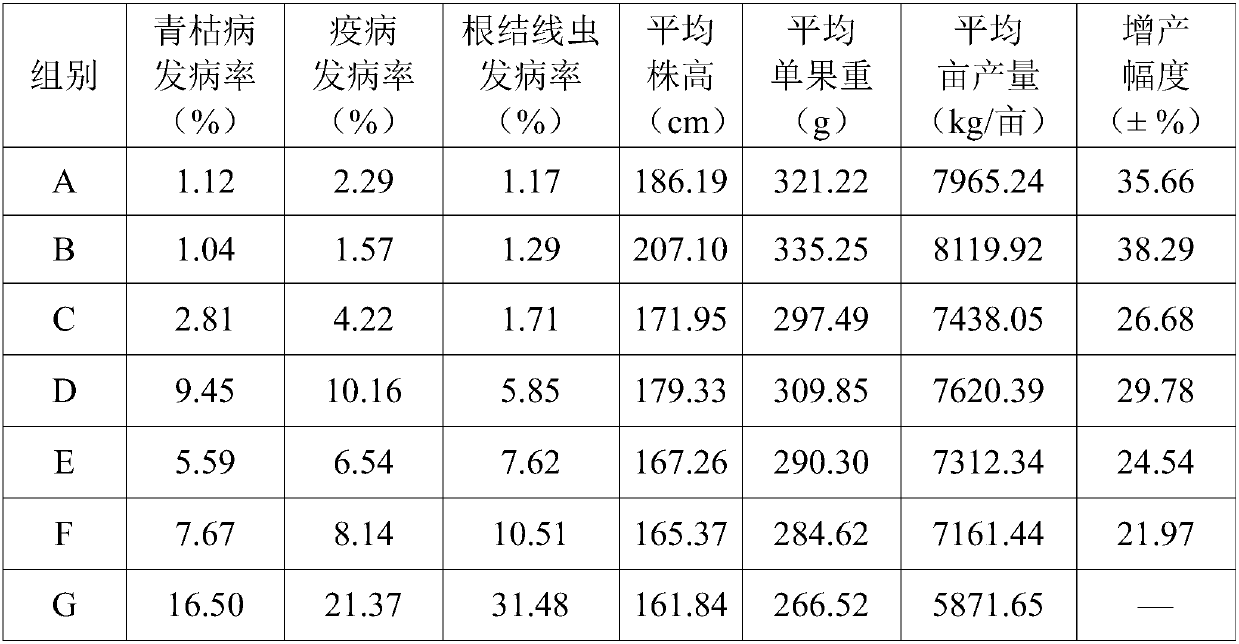 Continuous cropping resistant composite soil improvement agent special for facility agriculture