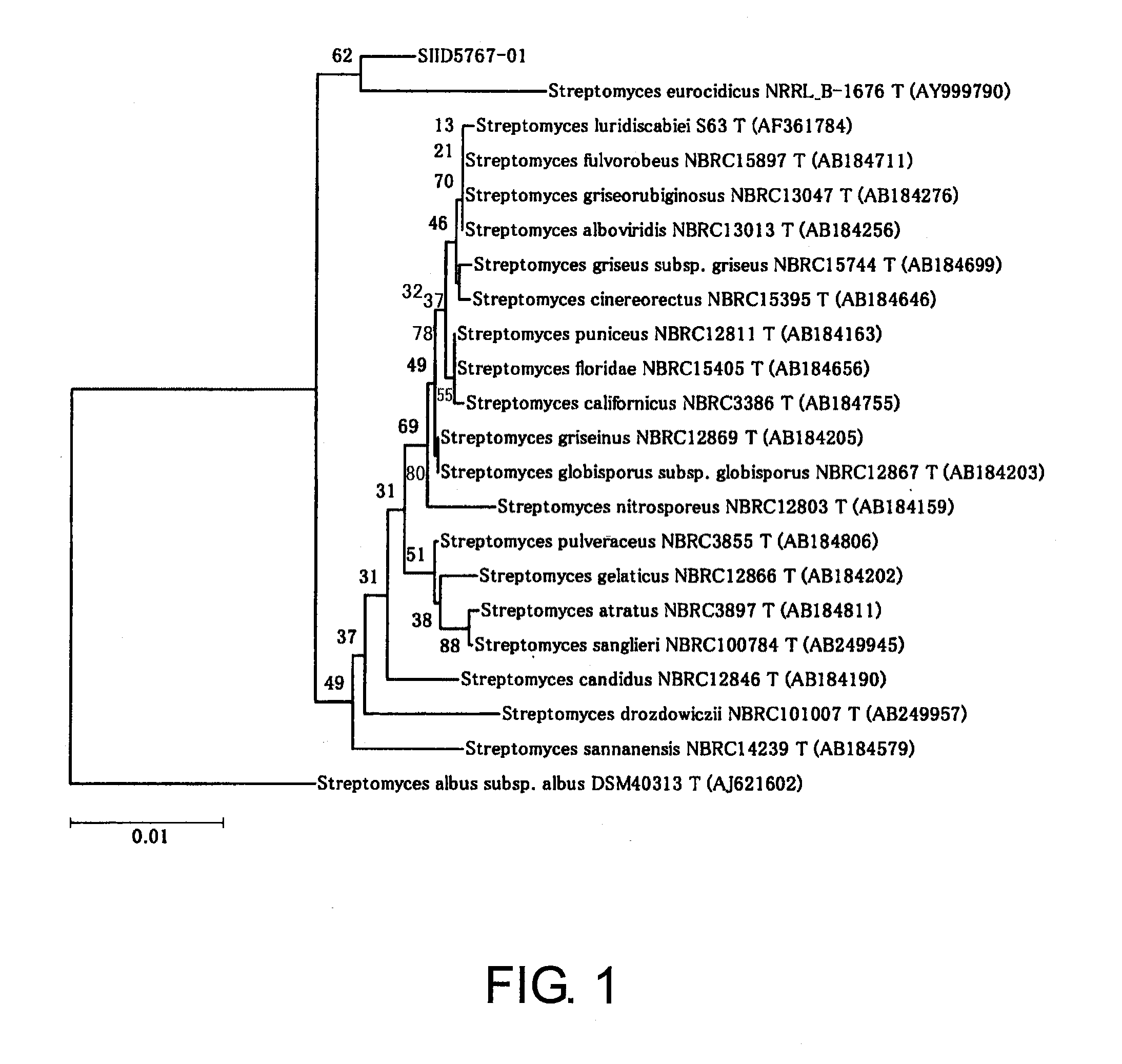 Process for production of optically active amine derivative