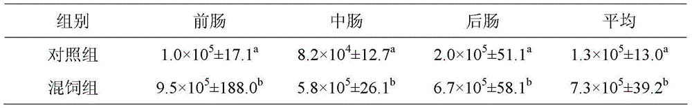 Chinese herbal medicine immunopotentiator for oncorhynchus masou masou and application thereof