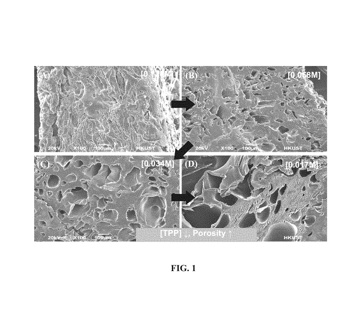 Chitosan based high performance filter with self-regenerating ability