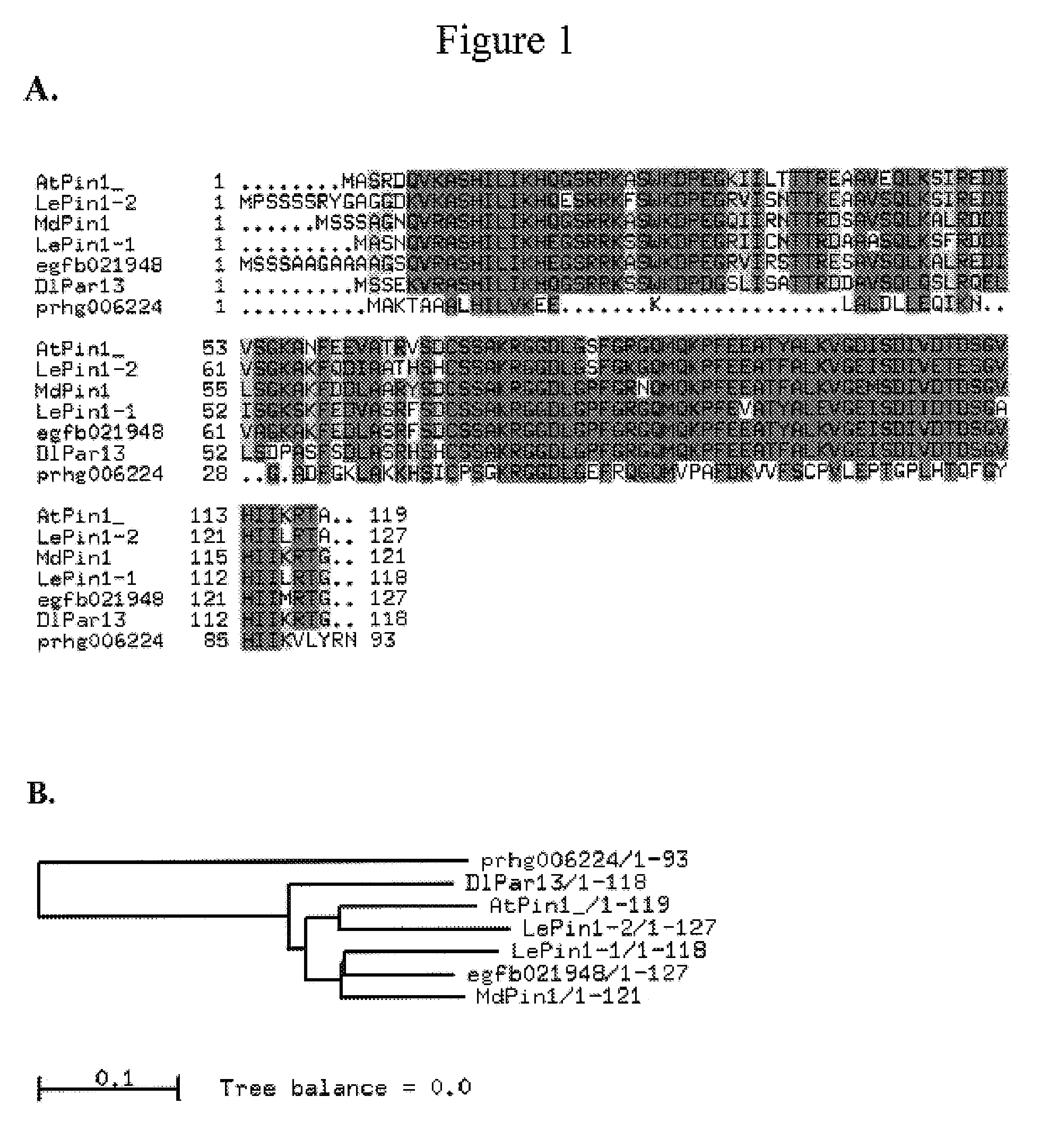 Methods for modulating plant growth and biomass