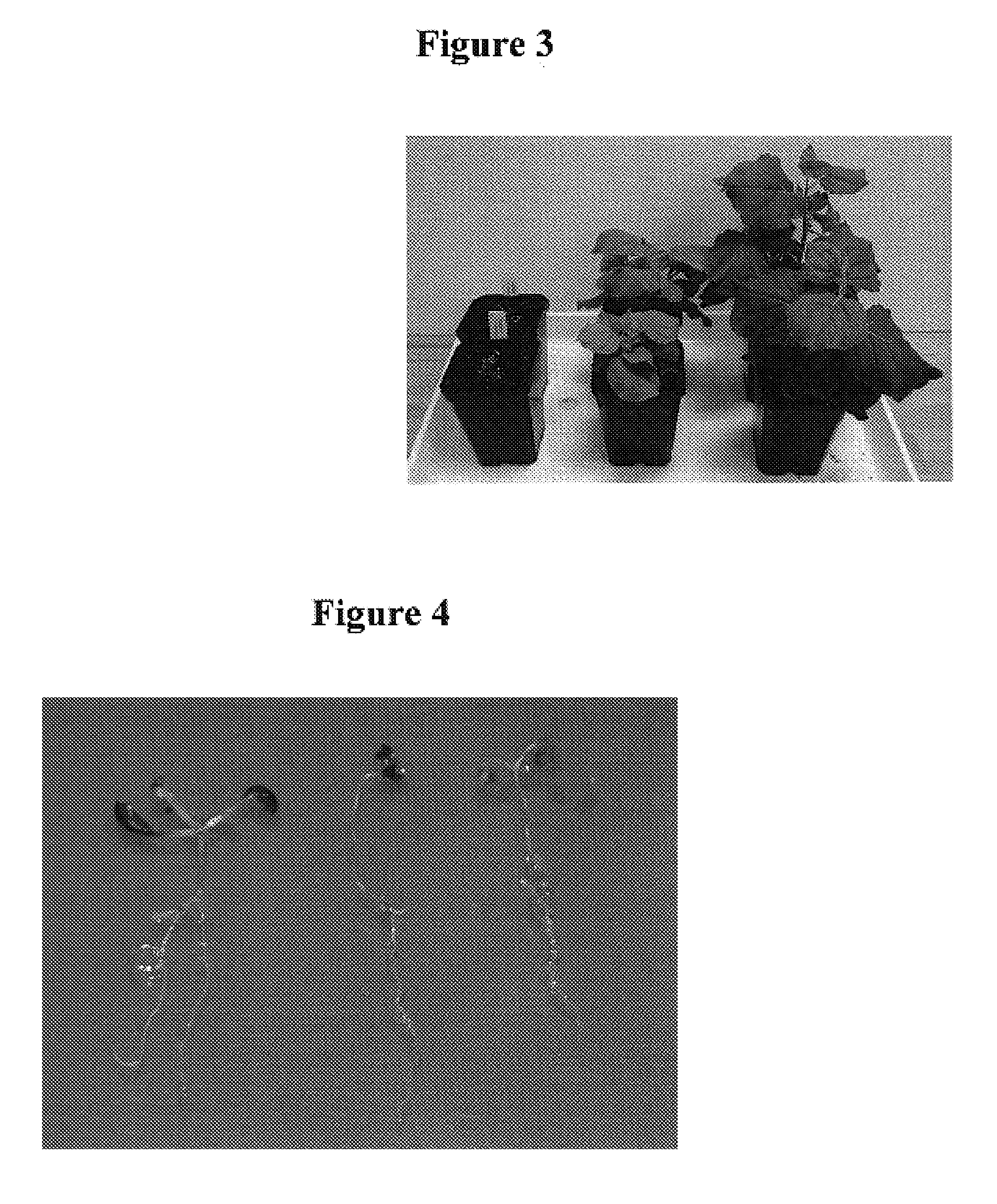 Methods for modulating plant growth and biomass