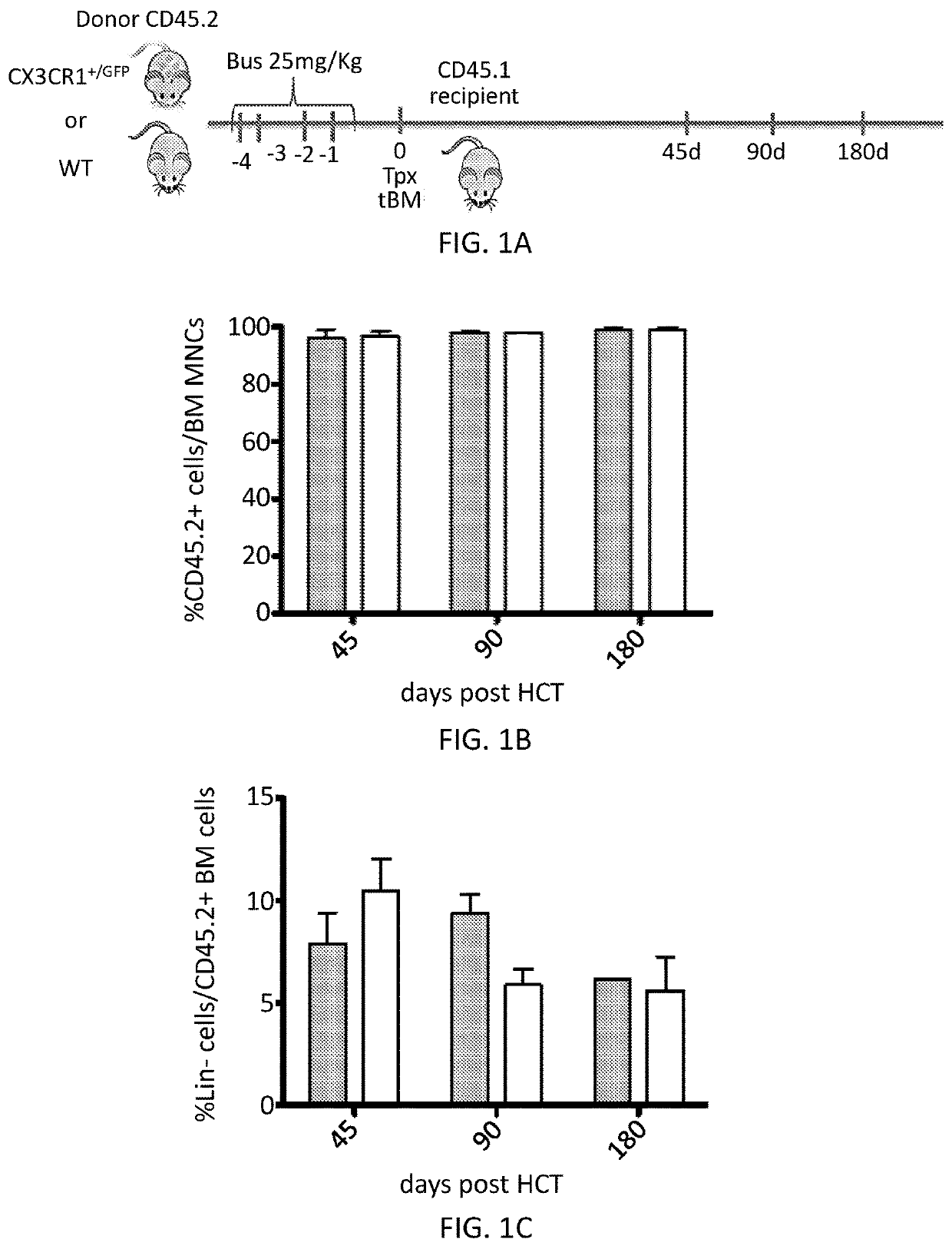 Methods and compositions for reconstituting microglia