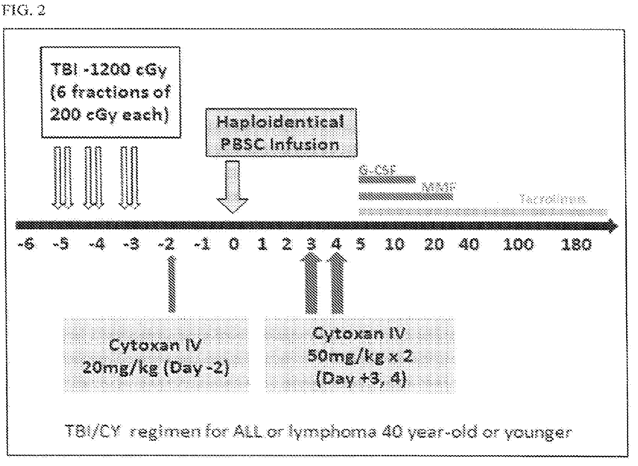 Methods for stem cell transplantation