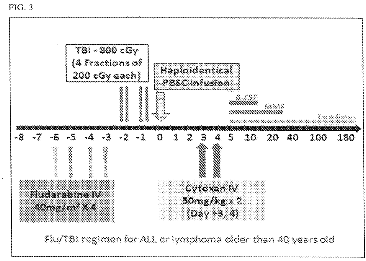 Methods for stem cell transplantation