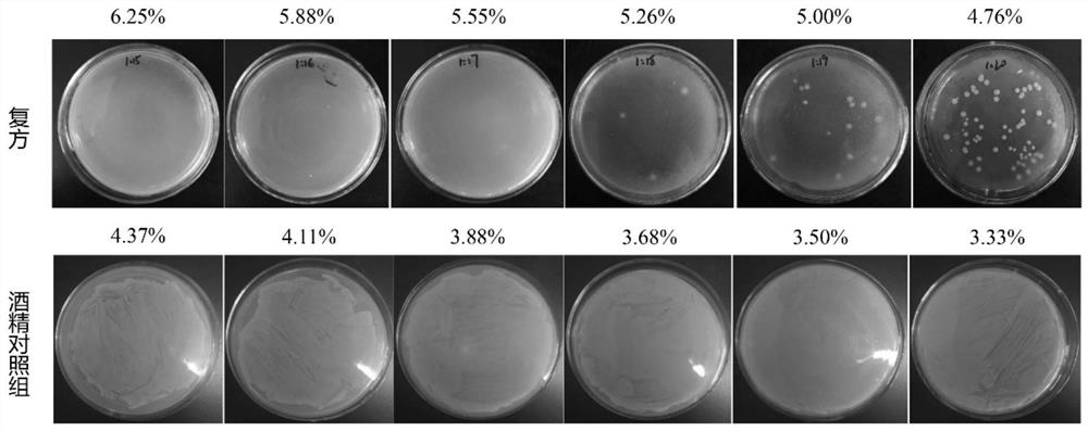 Traditional Chinese medicine composition capable of resisting staphylococcus aureus and a drug-resistant strain thereof and preparation method and application of traditional Chinese medicine composition