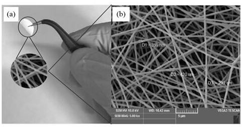 A self-supporting silicon carbon negative electrode material and preparation method thereof