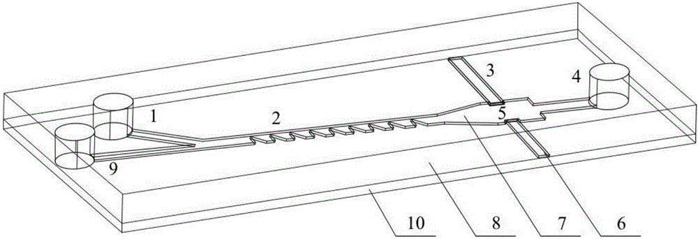 Microfluidic biochip for cell high-precision arrangement and detection