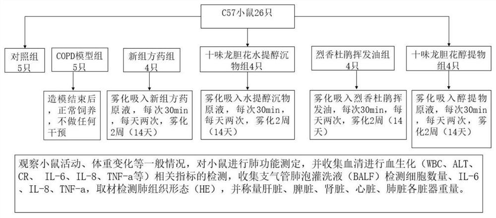 Zangsiwei Qingfei Mixture and Its Application in the Preparation of Drugs for Treating Respiratory Diseases