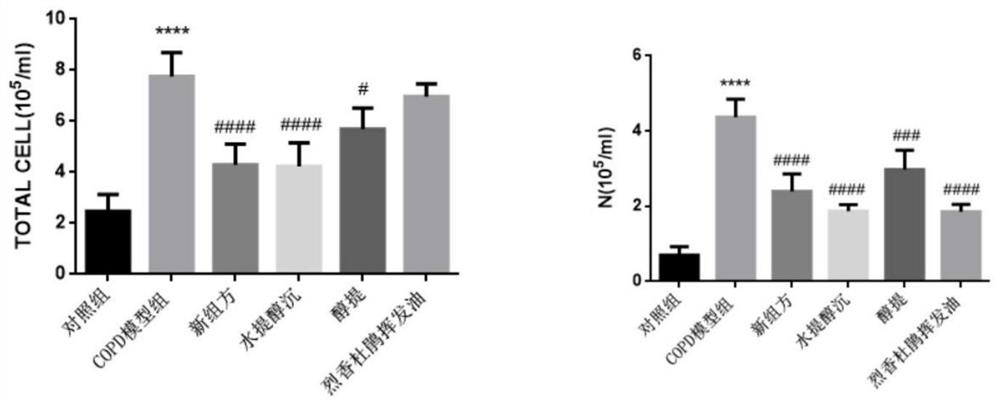 Zangsiwei Qingfei Mixture and Its Application in the Preparation of Drugs for Treating Respiratory Diseases