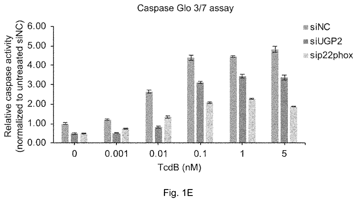 Method of treating clostridium difficile infection or its associated symptoms