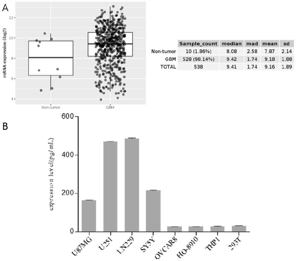 Monocytes and macrophages with solid tumor-directed chemotaxis ability expressing chemokine receptors, and preparation and application thereof