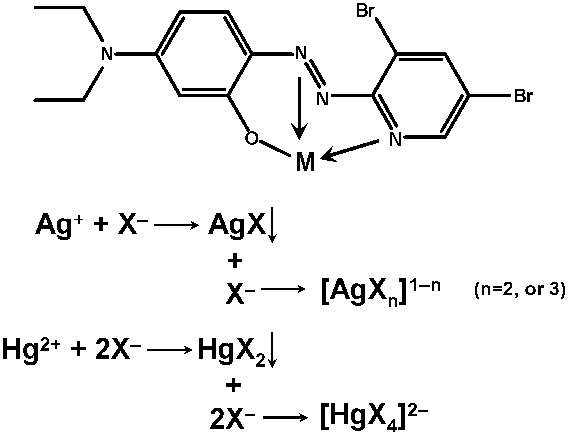 Method for semi-quantitatively determining chloride, bromide and iodine ions by indicator displacement reaction