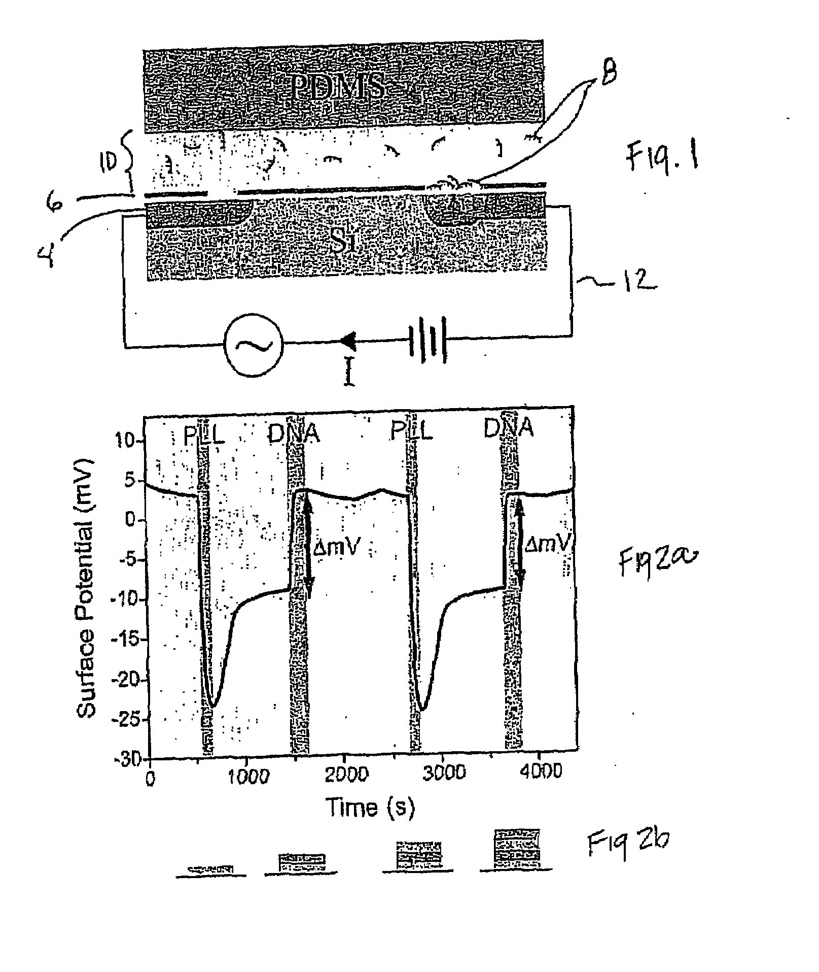 Method and apparatus for label-free electronic real-time double-stranded nucleic acid detection