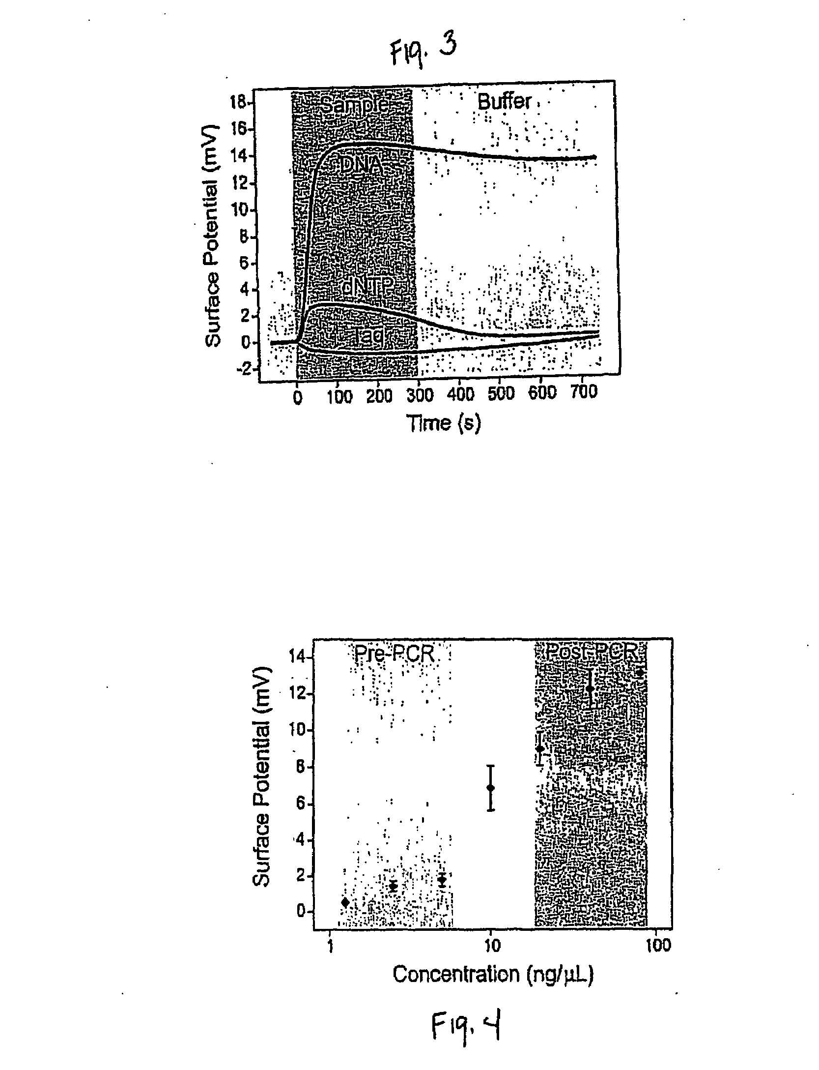 Method and apparatus for label-free electronic real-time double-stranded nucleic acid detection