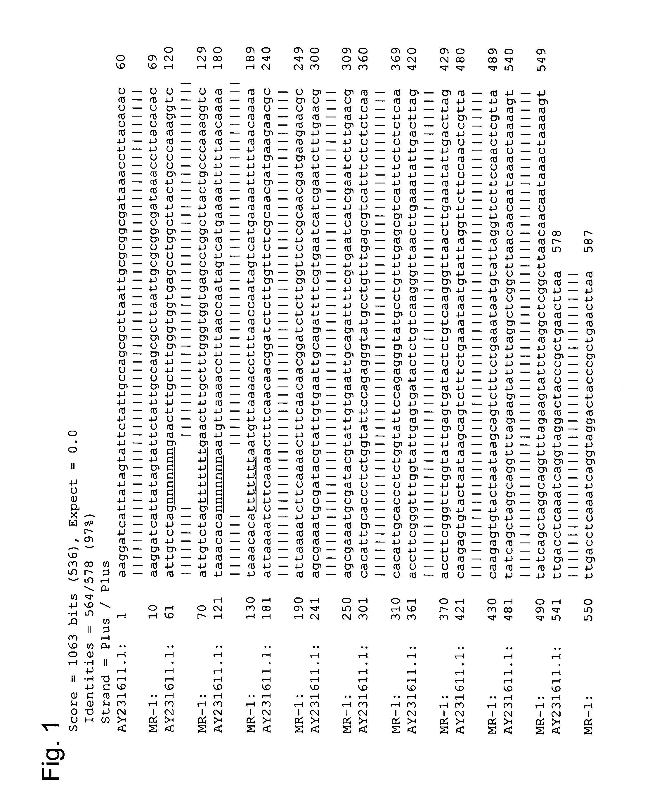 Method For Producing Y-Aminobutyric-Acid-Containing Food And Yeast Having High Ability To Produce Y-Aminobutric Acid