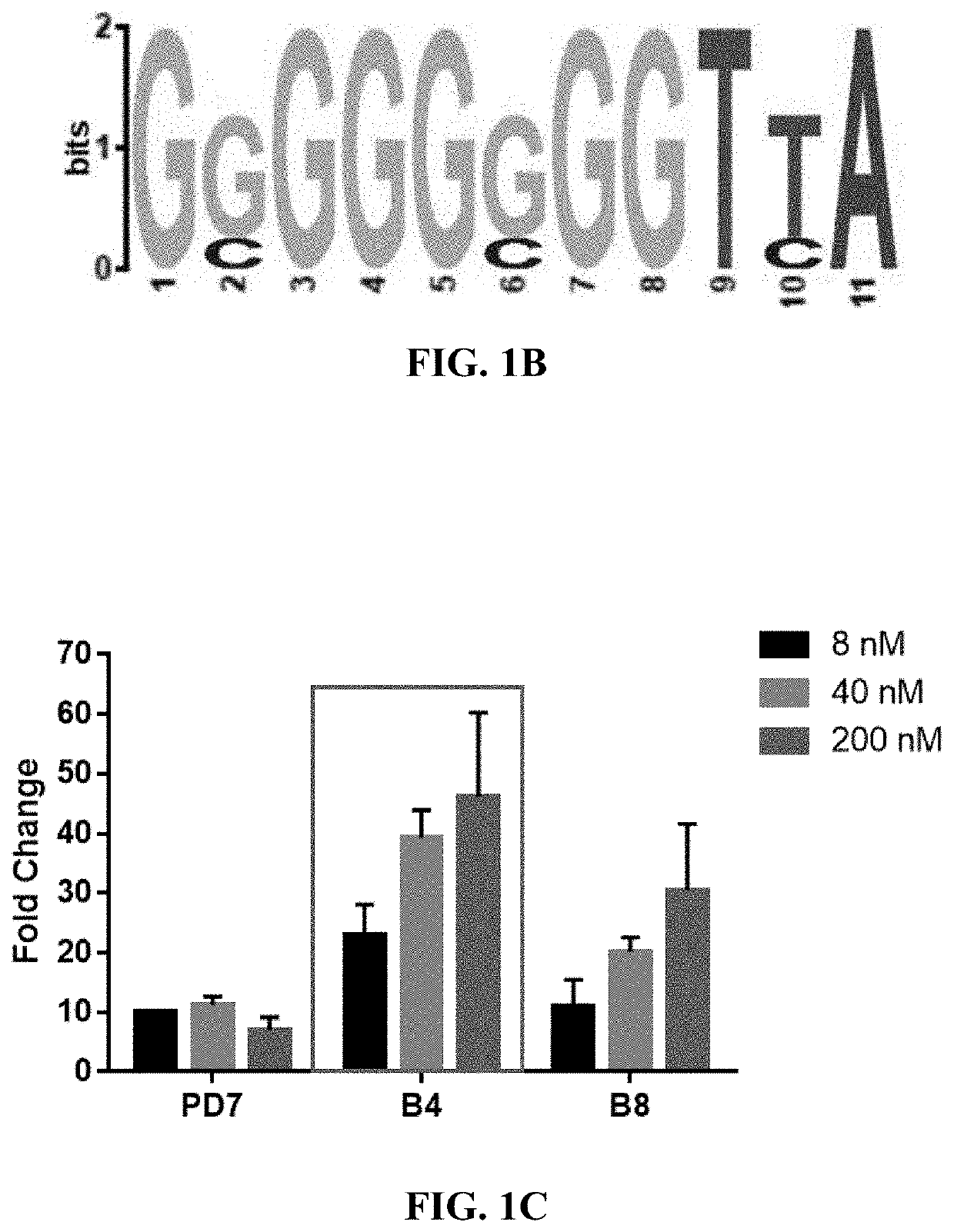Nucleic acid aptamers targeting lymphocyte activation gene 3 (lag-3) and uses thereof