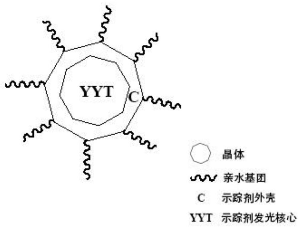 Synthesis method and application of "yytc tracer"