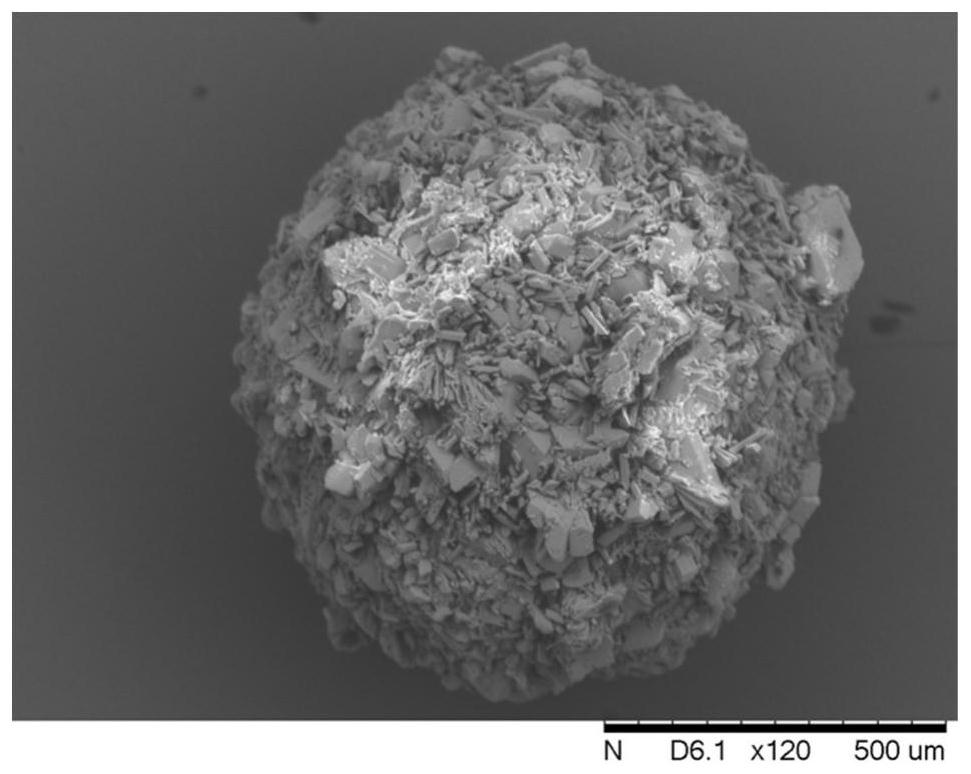 Ibuprofen-loaded lenalidomide composite particle and preparation method thereof