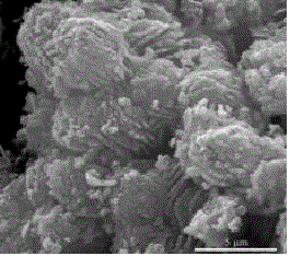 Synthesis method of superfine nanorod-baculariate SnO2 nano-materials