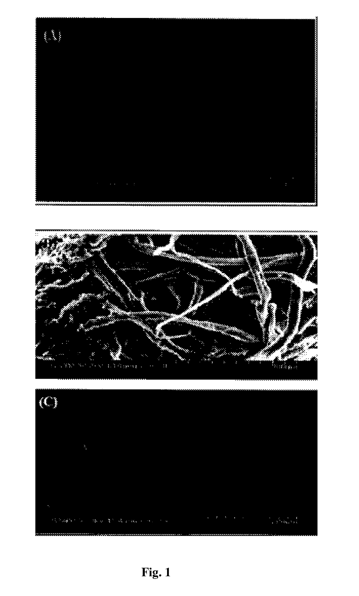 A nanobiocomposite formulation for wound healing and a process for the preparation thereof