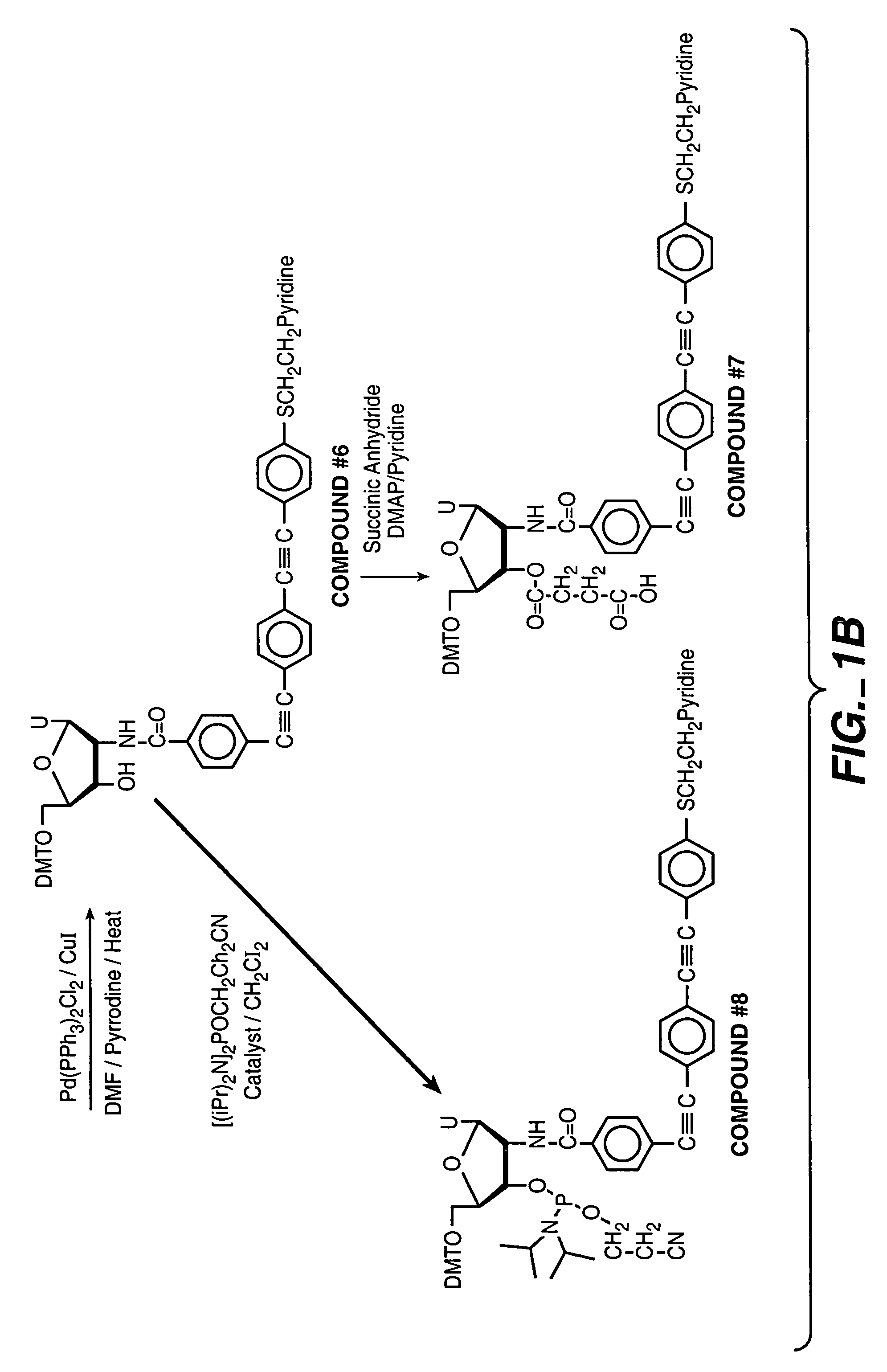 Electronic transfer moieties attached to peptide nucleic acids