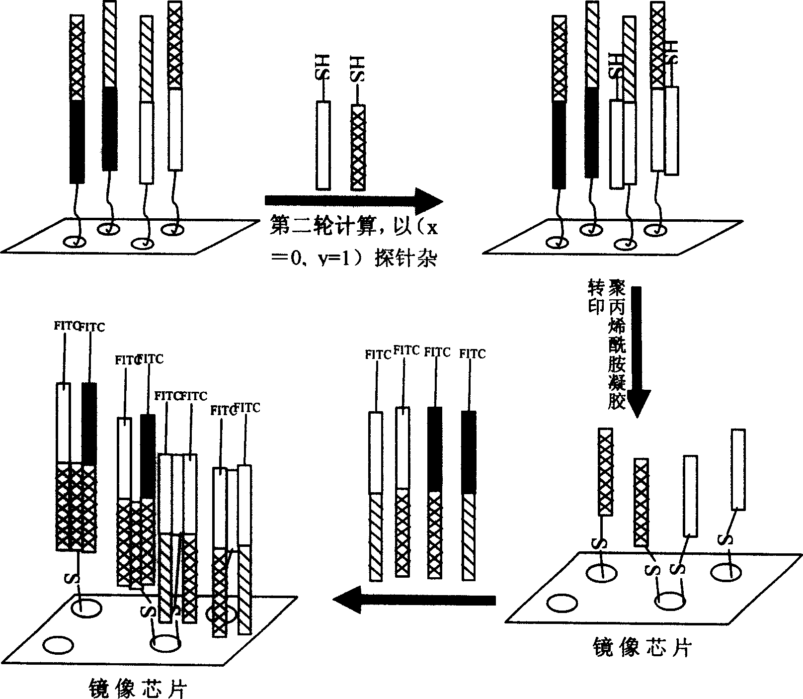 Chip copying method for DNA computation