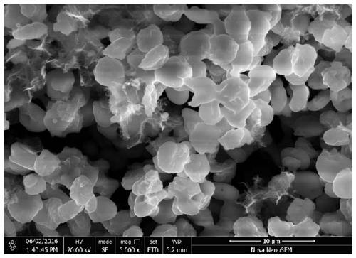 A kind of highly conductive lithium iron phosphate powder and preparation method thereof