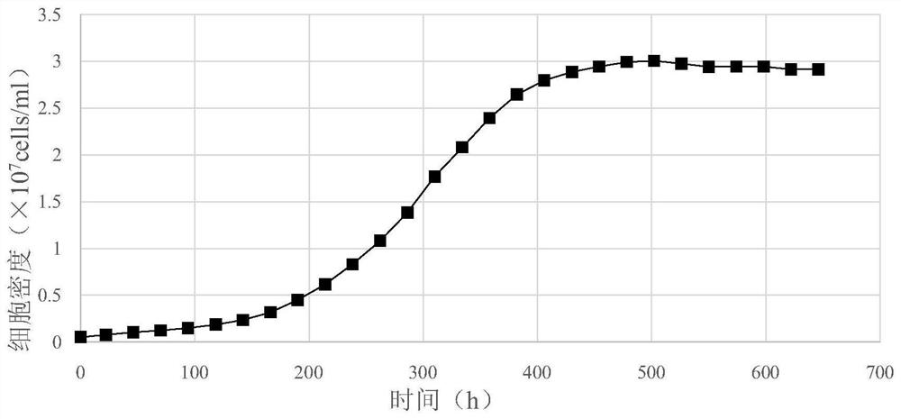 Serum-free Vero cell fixed bed bioreactor high-density culture process