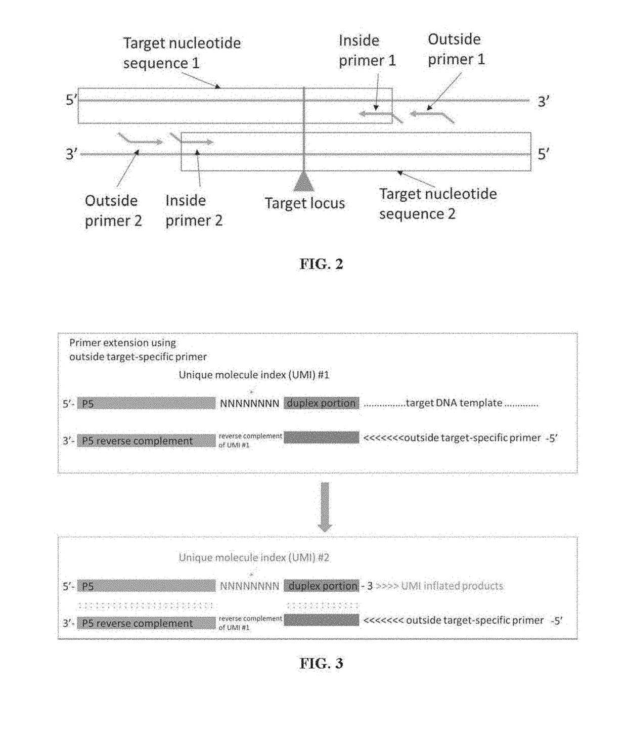 Methods of enriching and determining target nucleotide sequences