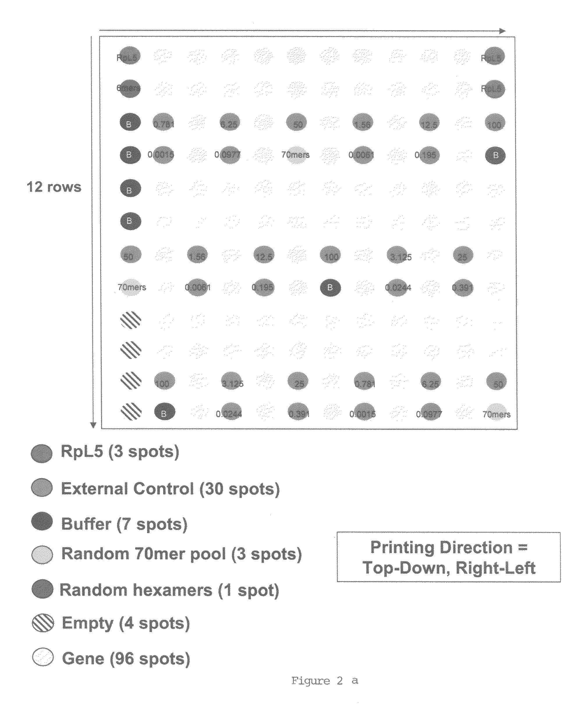 In situ dilution of external controls for use in microarrays