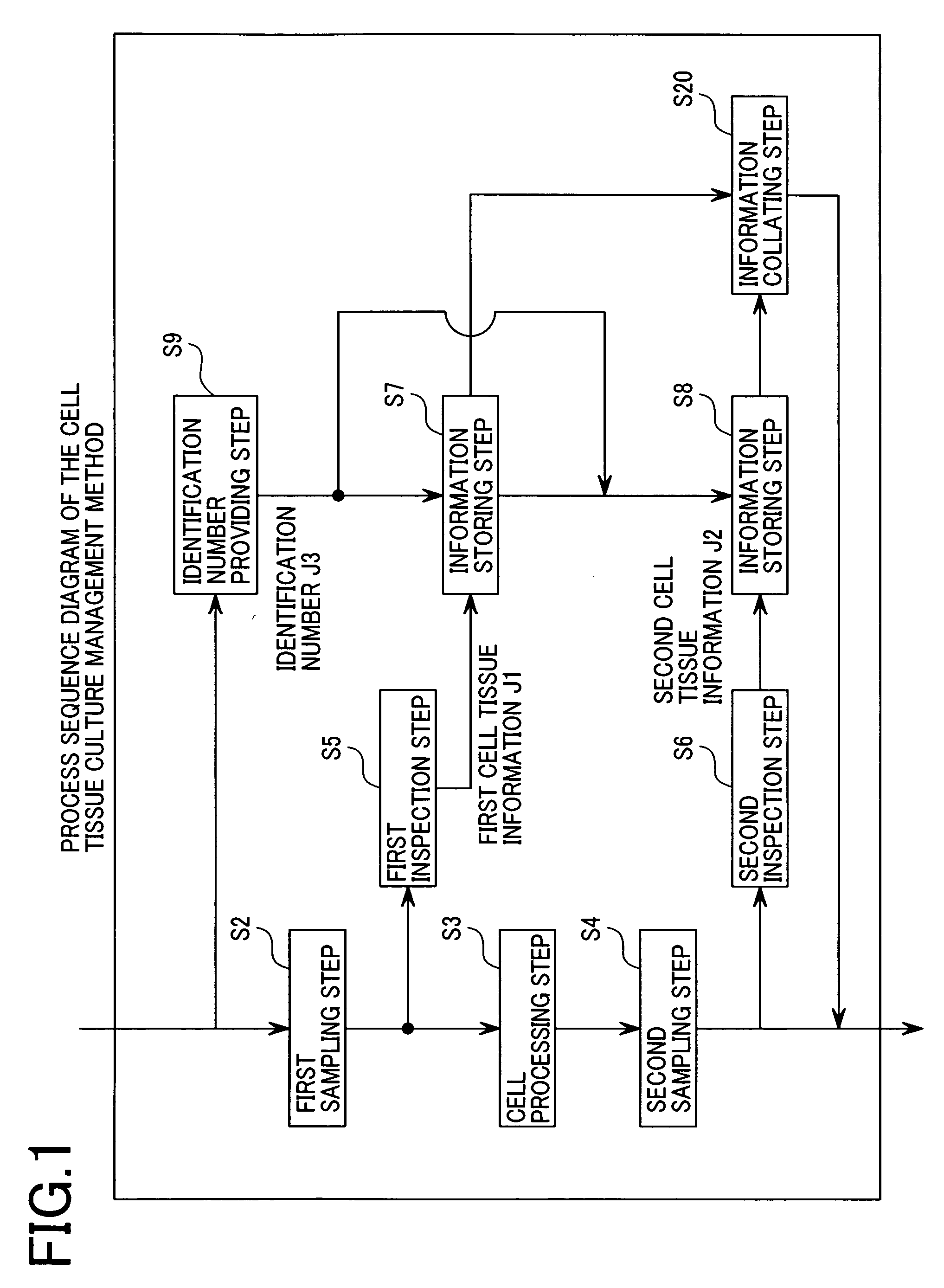 Cell tissue culture management method and system