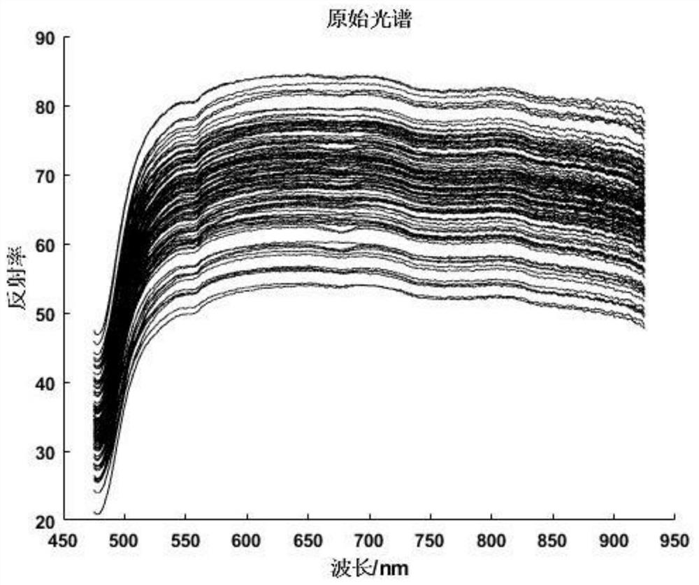 Apple acidity near-infrared nondestructive testing method based on fusion characteristic wavelength selection algorithm