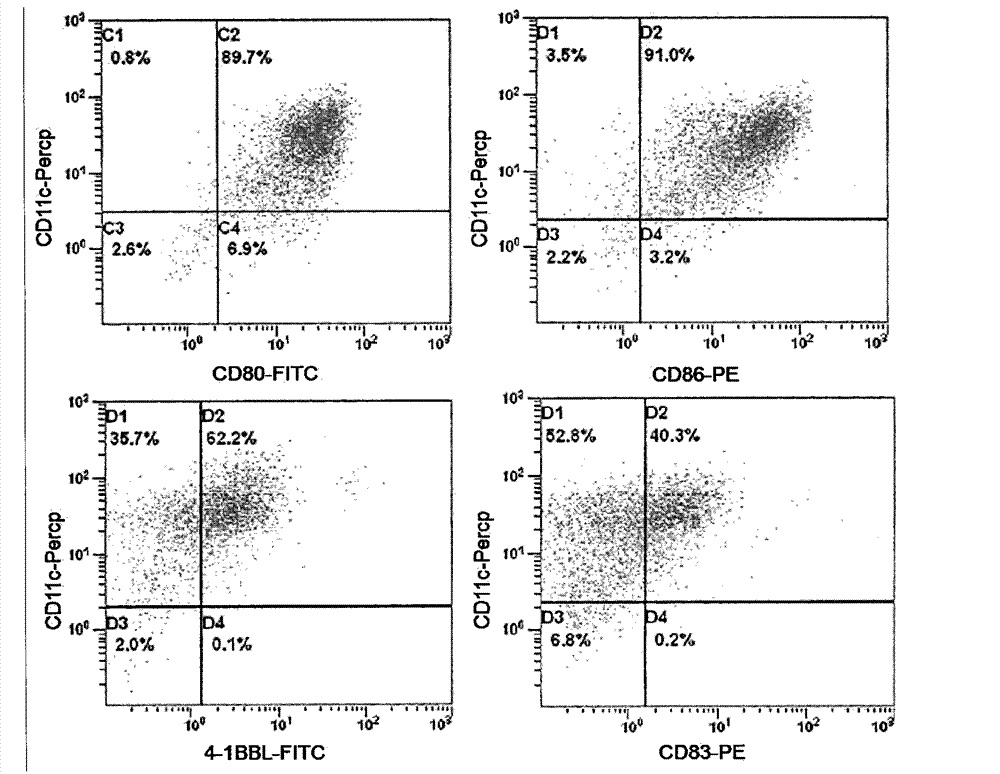 Method and kit for preparing dendritic cells