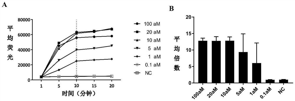 Detection method of Staphylococcus aureus based on exo-rpa technology and its complete set of reagents