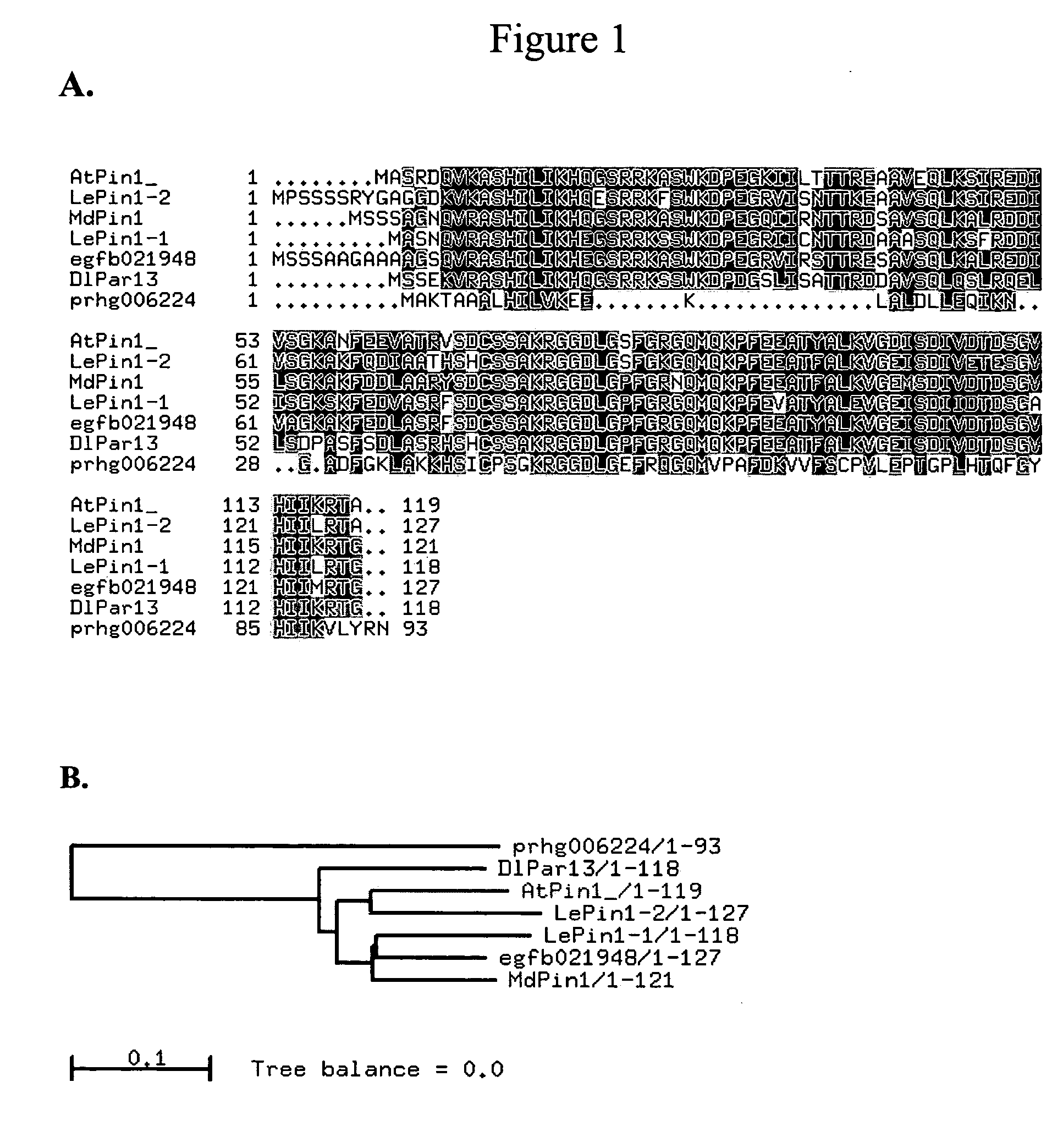 Plant cell cycle genes and methods of use