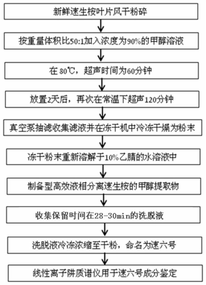 Fast-growing eucalyptus leaf extract and its preparation method and anti-HIV application