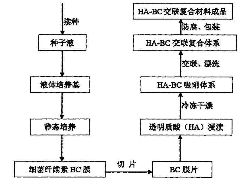 Preparation method of bacteria cellulose/hyaluronic acid composite