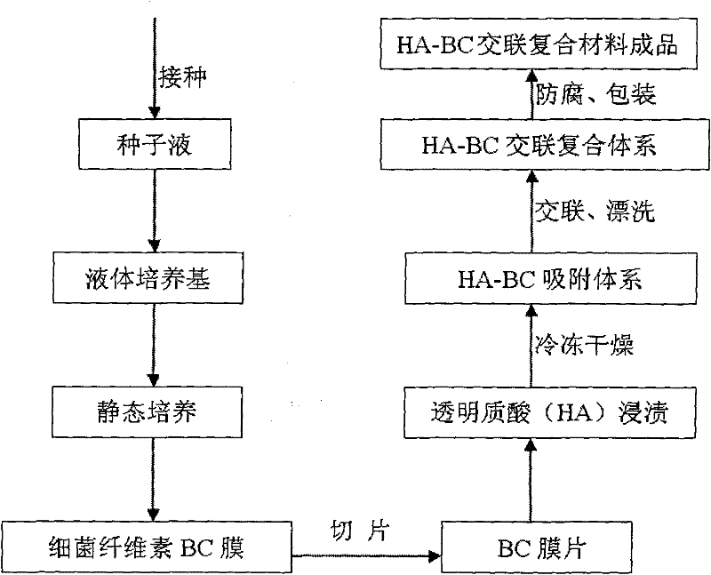 Preparation method of bacteria cellulose/hyaluronic acid composite
