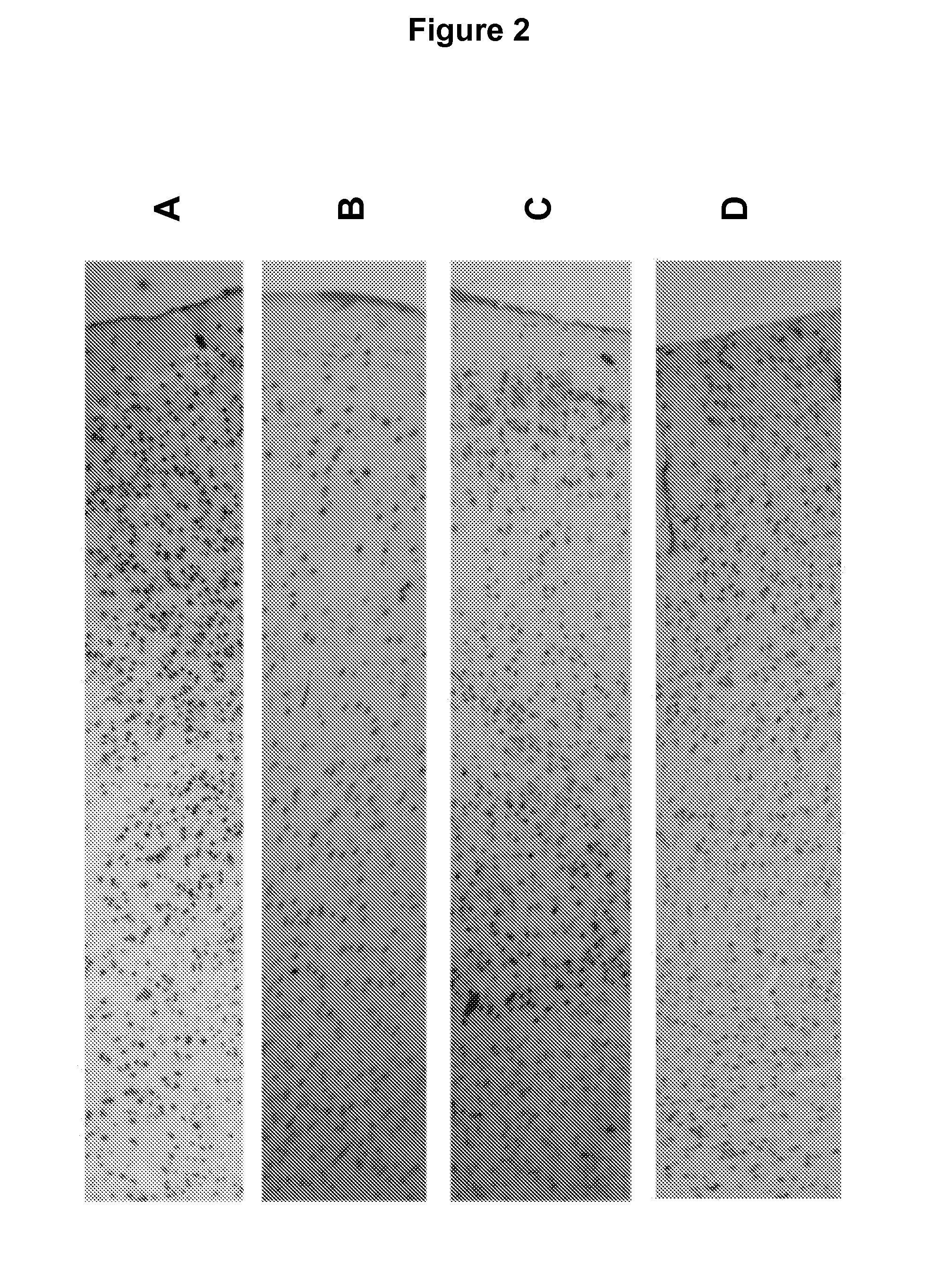 Stabilization method for biological samples by combination of heating and chemical fixation