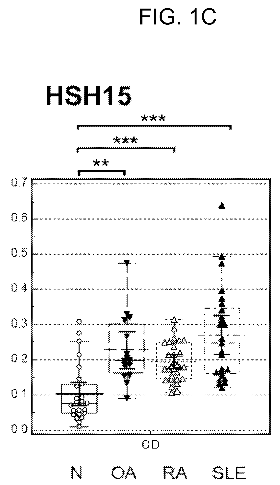 Cyclic citrullinated peptide, rheumatoid arthritis diagnosis composition including the same, rheumatoid arthritis diagnosis method using the peptide or the composition, and method of screening diagnostic marker for rheumatoid arthritis