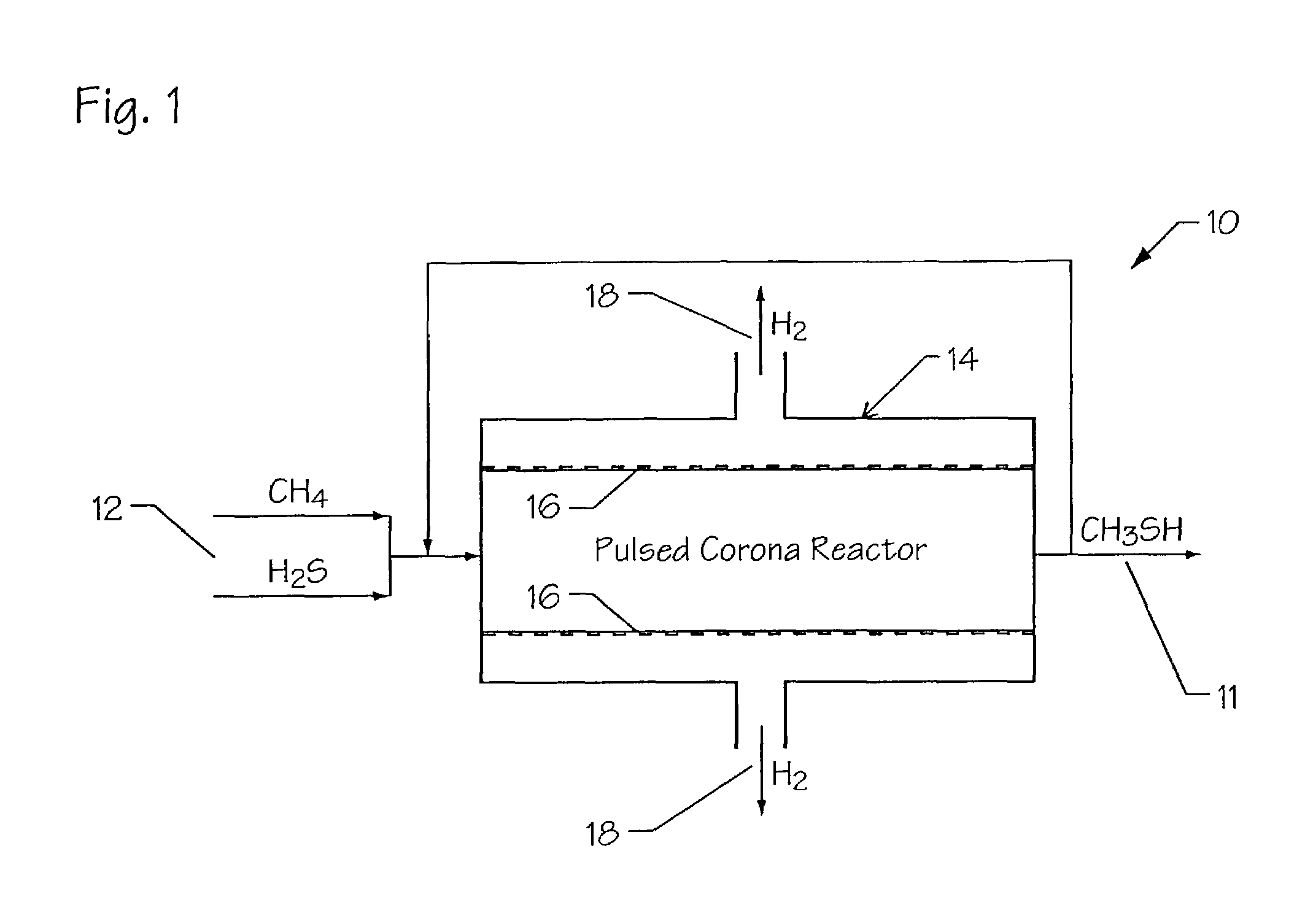 Apparatus and method for production of methanethiol