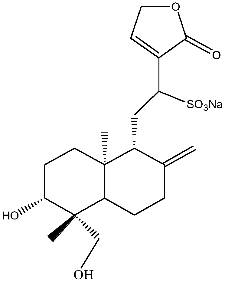 Application of andrographolide in preparation of medicines for preventing or/and treating sarcopenia