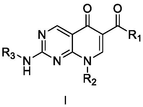 Diarylpyrimido pyridone derivative, preparation method and application thereof