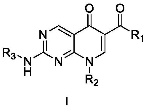 Diarylpyrimido pyridone derivative, preparation method and application thereof